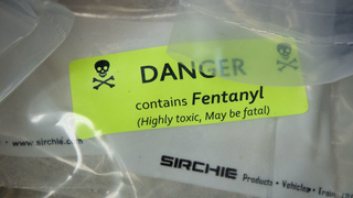Skyrocketing Rates of Fentanyl Deaths Led to the Deadliest Year for Opioid Overdoses Ever